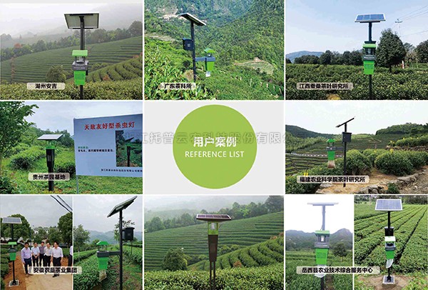 草莓视频软件下载窄波LED杀虫灯入选茶园病虫害绿色精准防控技术图册