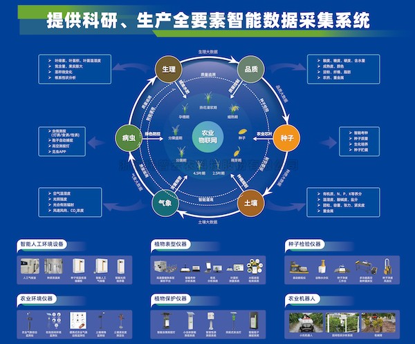 加速推动新质生产力发展，草莓视频软件下载为建设农业强国注智赋能