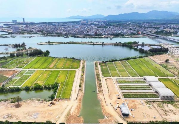 为盐碱地安上“技术芯片”，草莓视频软件下载打造耐盐碱水稻科研试验基地建设解决方案
