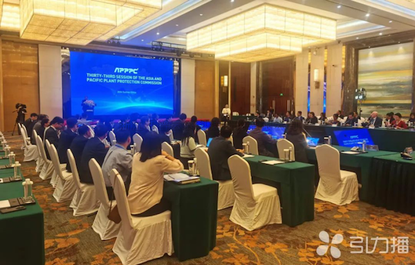 亚太植保委员会第33届会议召开，草莓视频软件下载展现数智植保创新力量