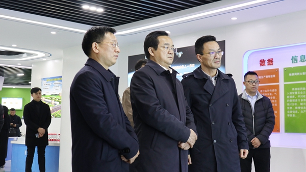 浙江省高兴夫副省长一行莅临浙江草莓视频软件下载股份有限公司参观调研