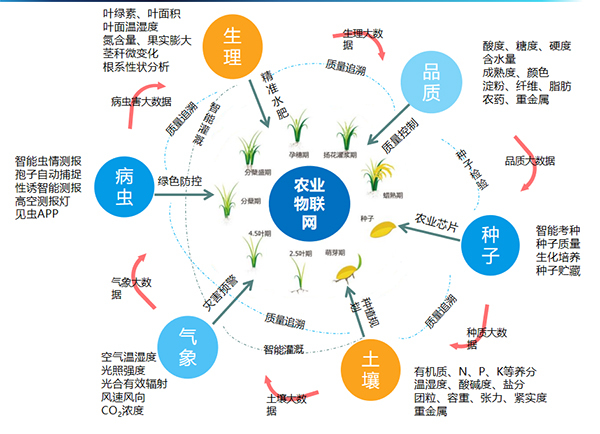 草莓视频软件下载打造的全要素智能采集系统