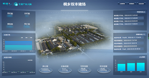 草莓视频软件下载打造的“生猪精密智管”社会化服务应用